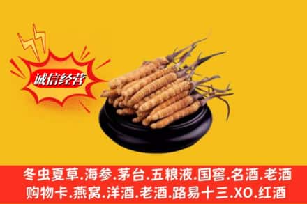 兴安盟科尔沁右翼中旗求购回收虫草多少钱每克